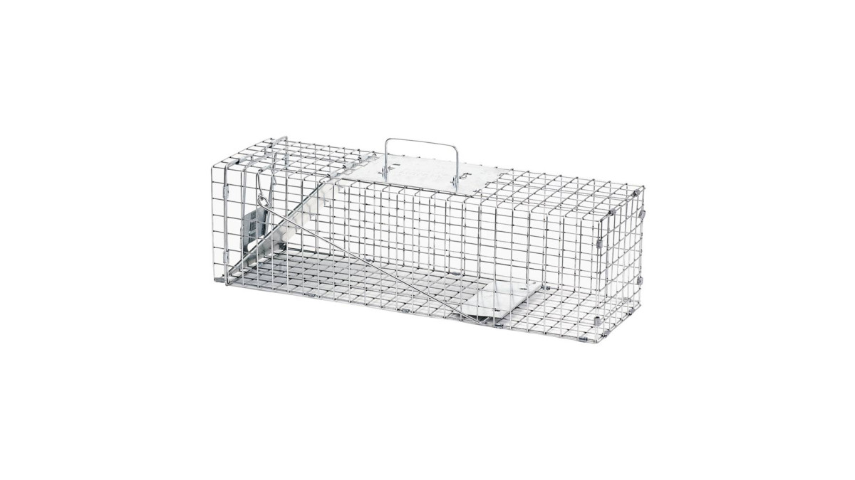 Professional Cage trap squirrel, skunk
